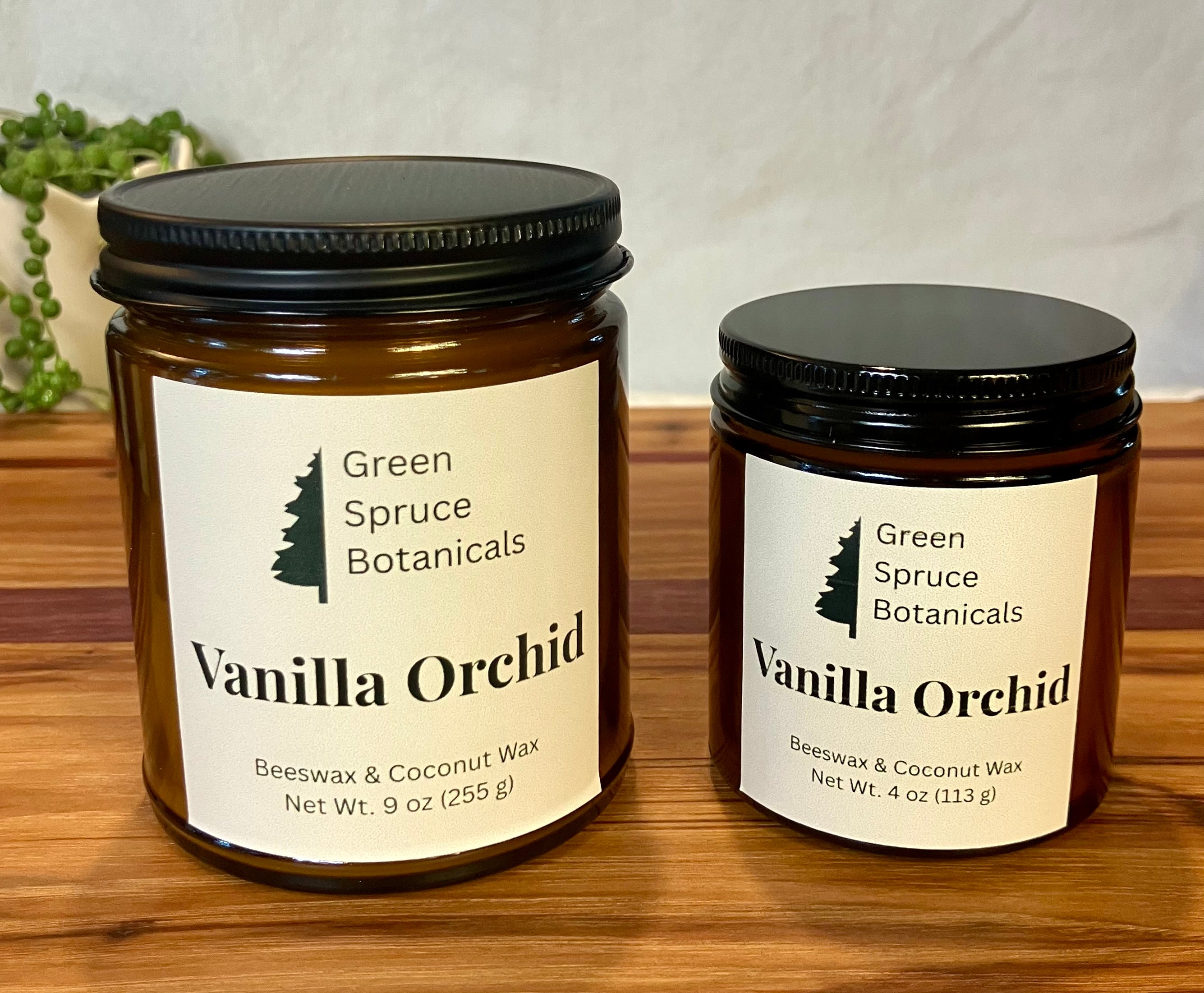 Vanilla Orchid