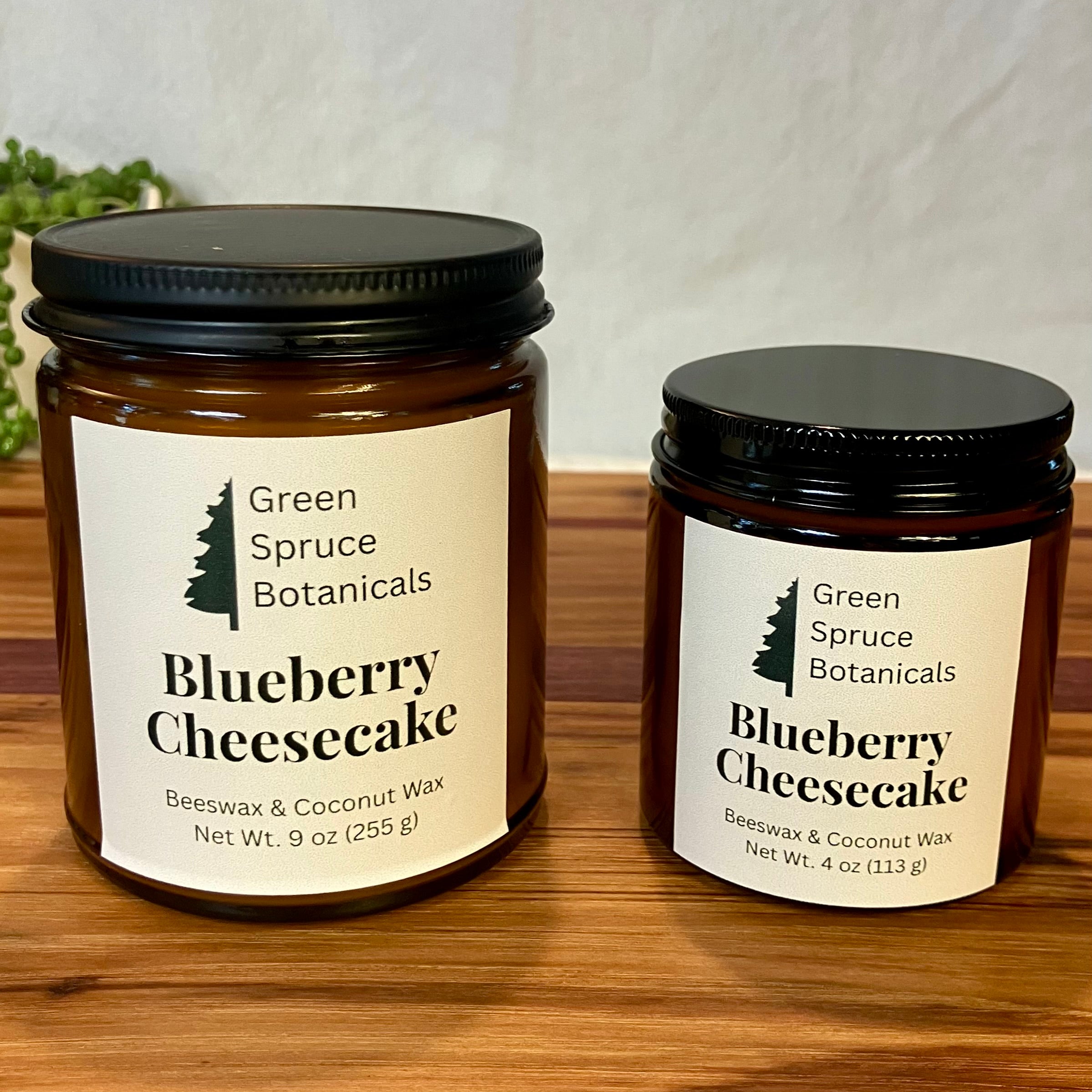 Blueberry Cheese Cake