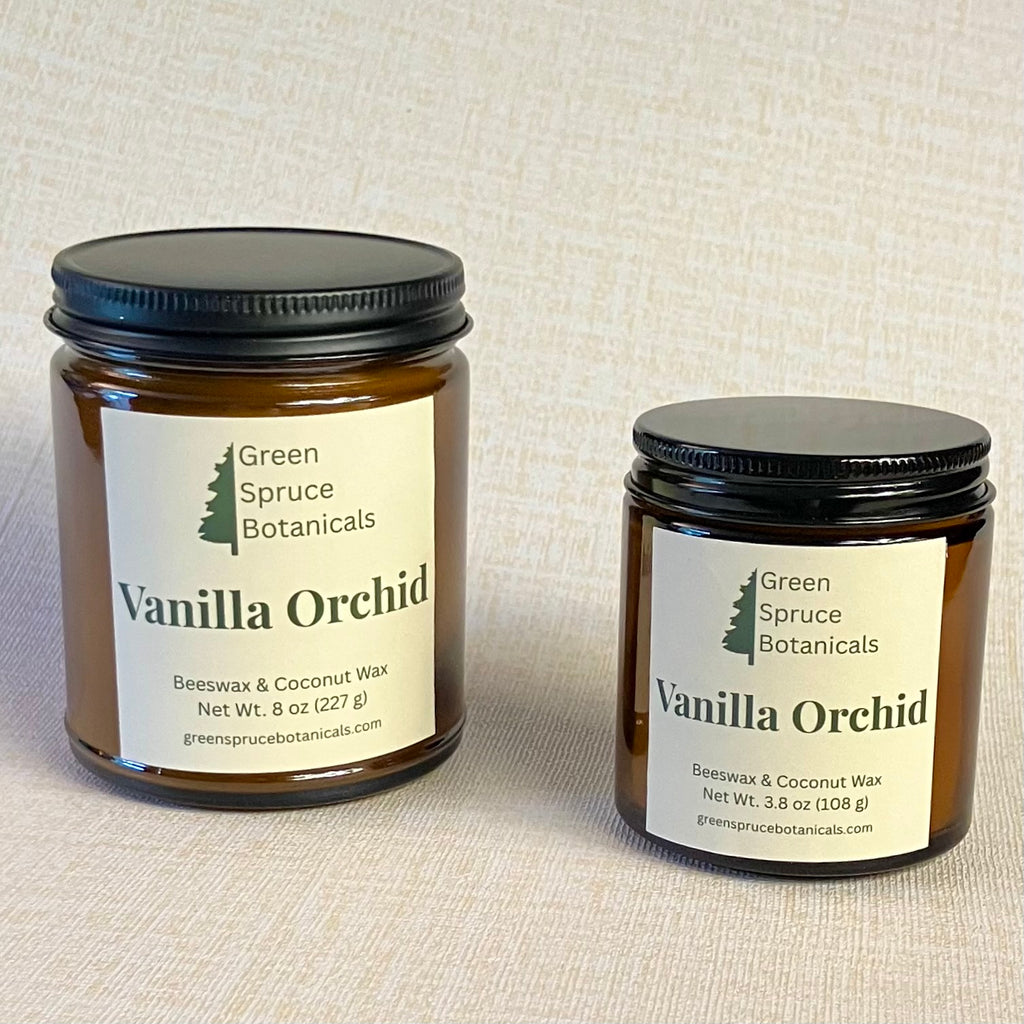 Vanilla Orchid