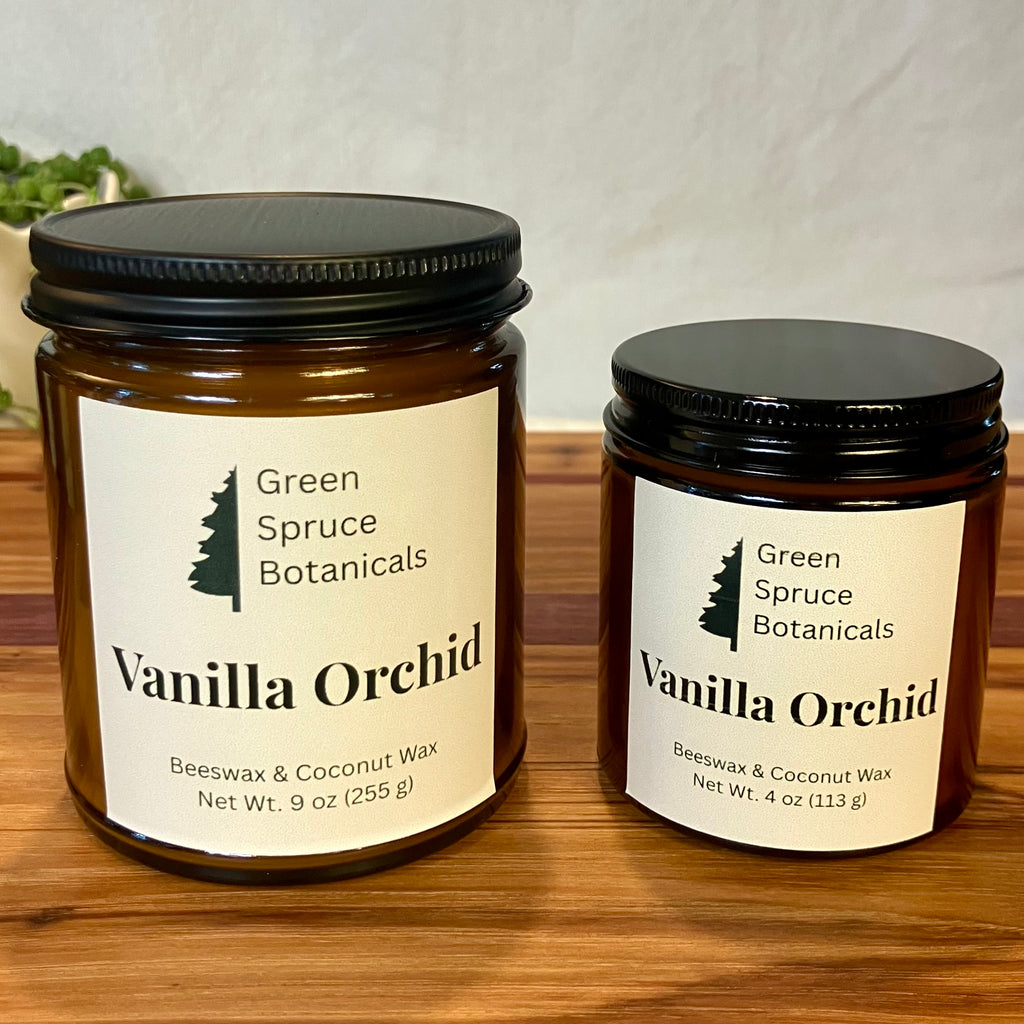 Vanilla Orchid